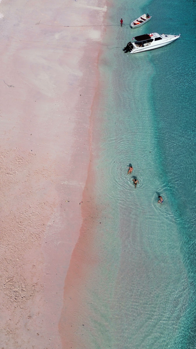 Pink beach à Komodo