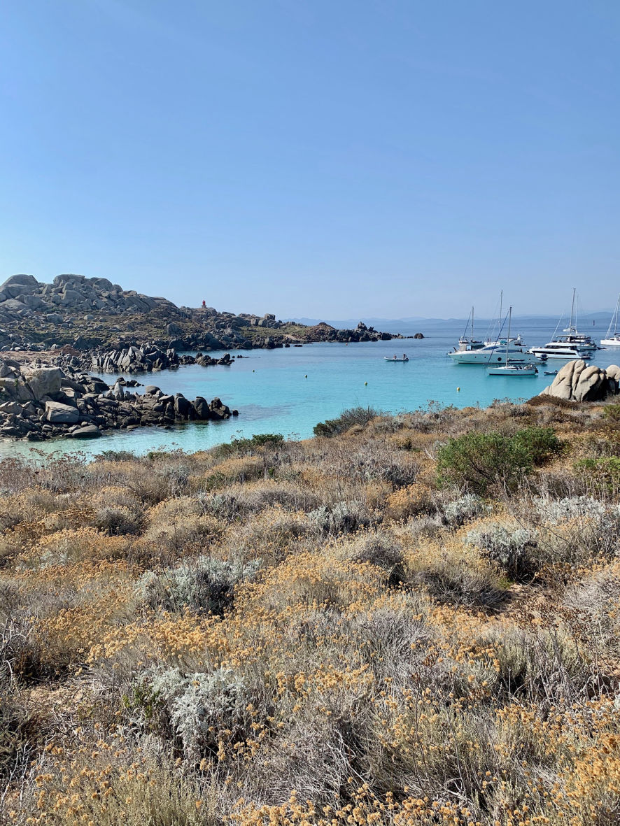 Les îles Lavezzi