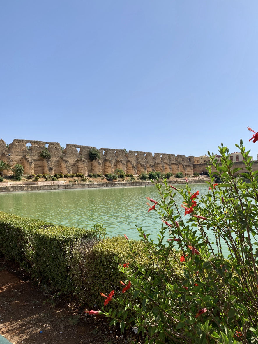 Le Bassin des Norias ou Sahrij Swani à Meknès