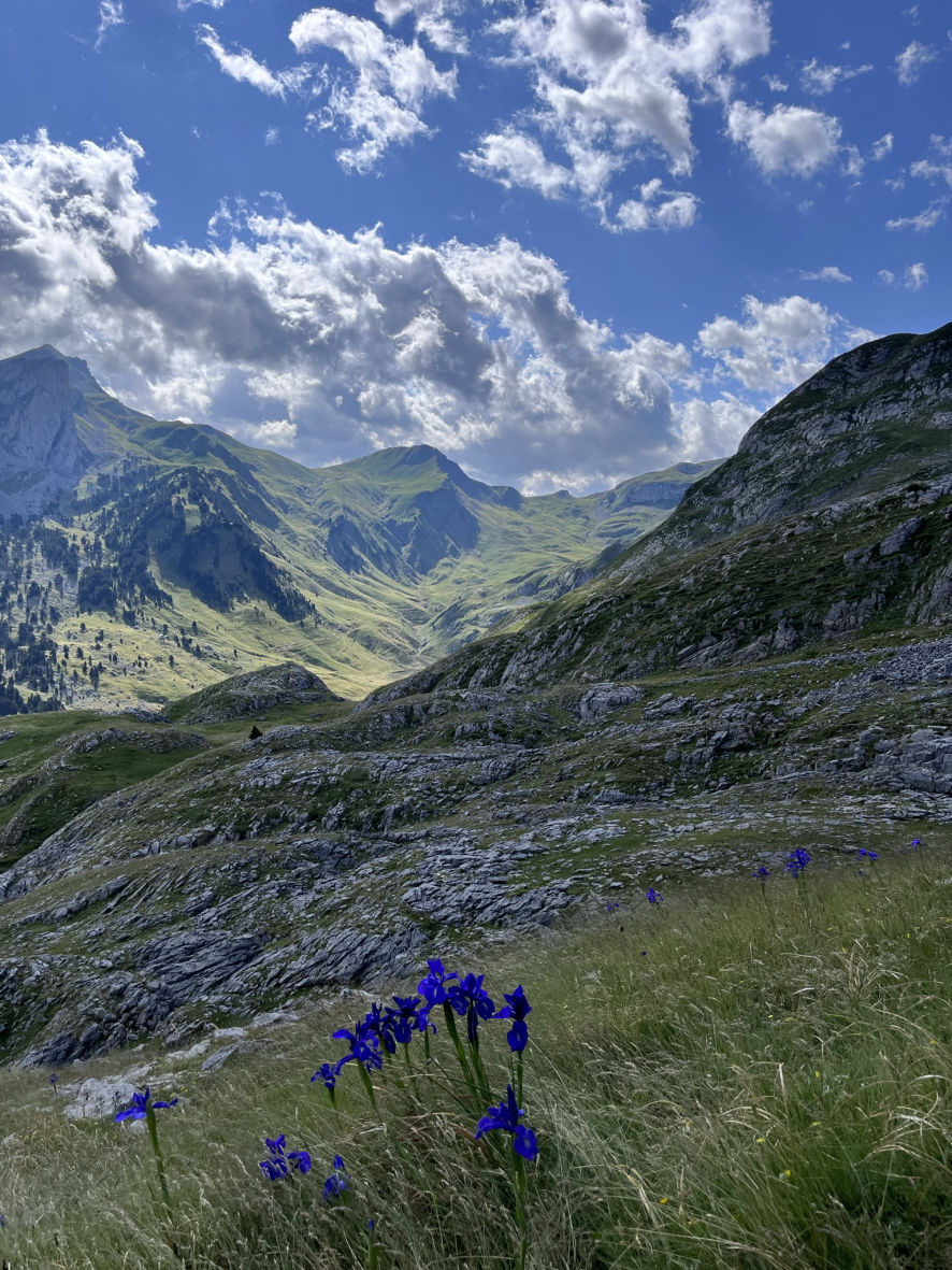 Descente vers la vallée du Pic du Midi d'Ossau