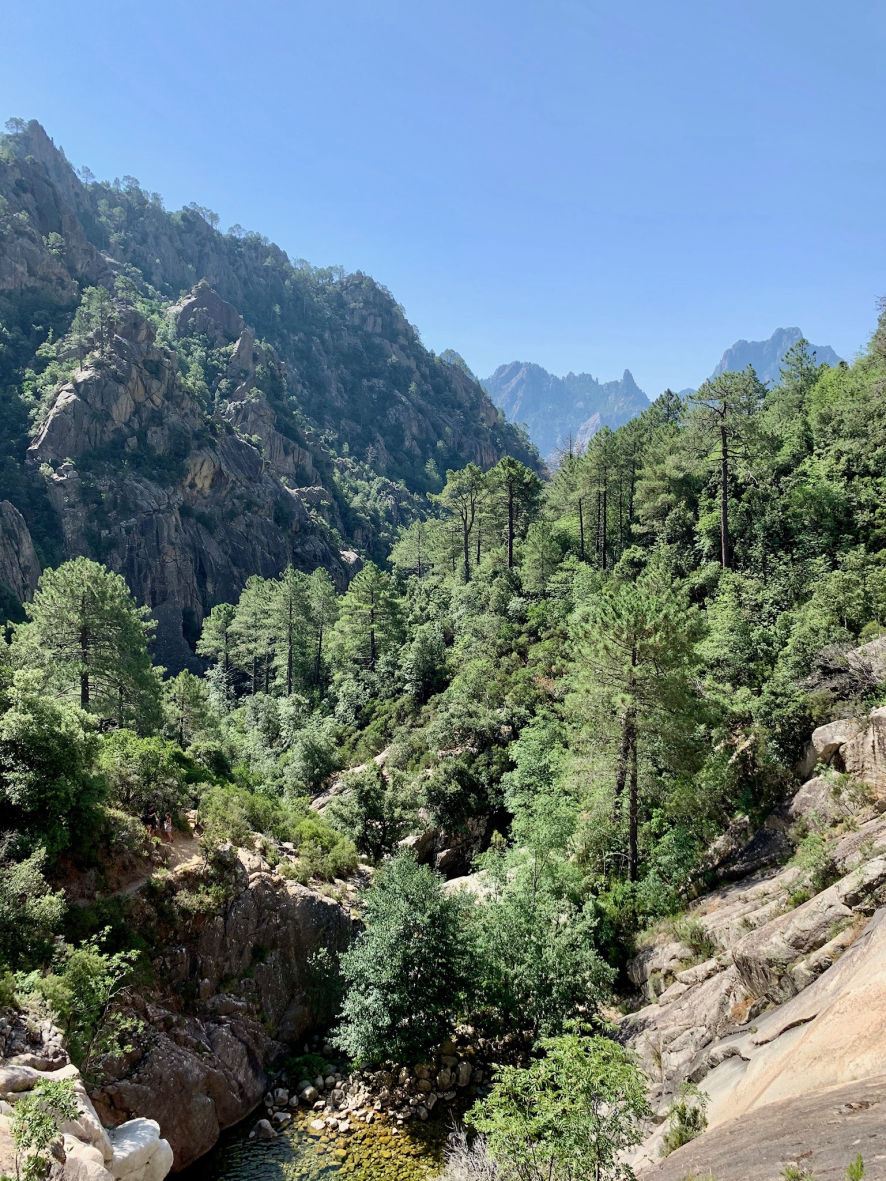 Les aiguilles de Bavella jamais très loins 