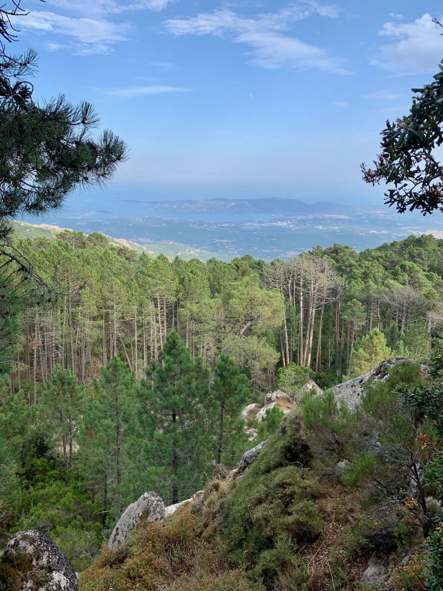 La vue depuis la bulle
