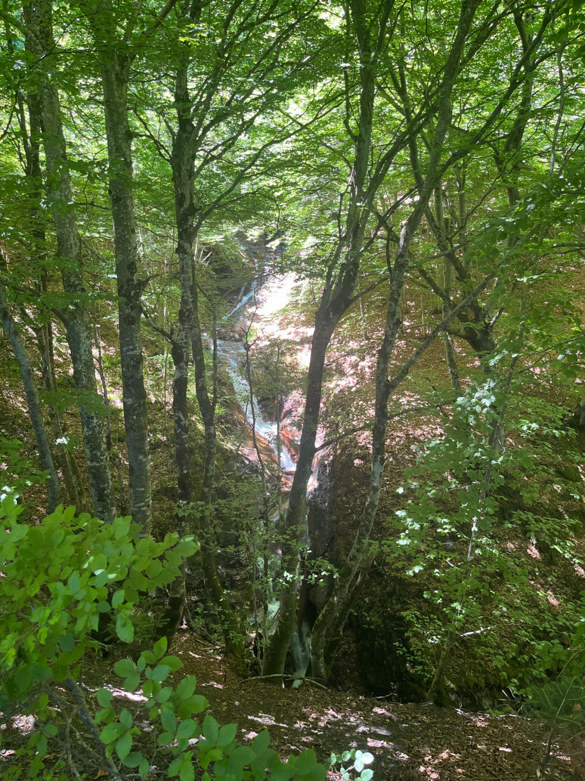La cascade dans la forêt de Rouge