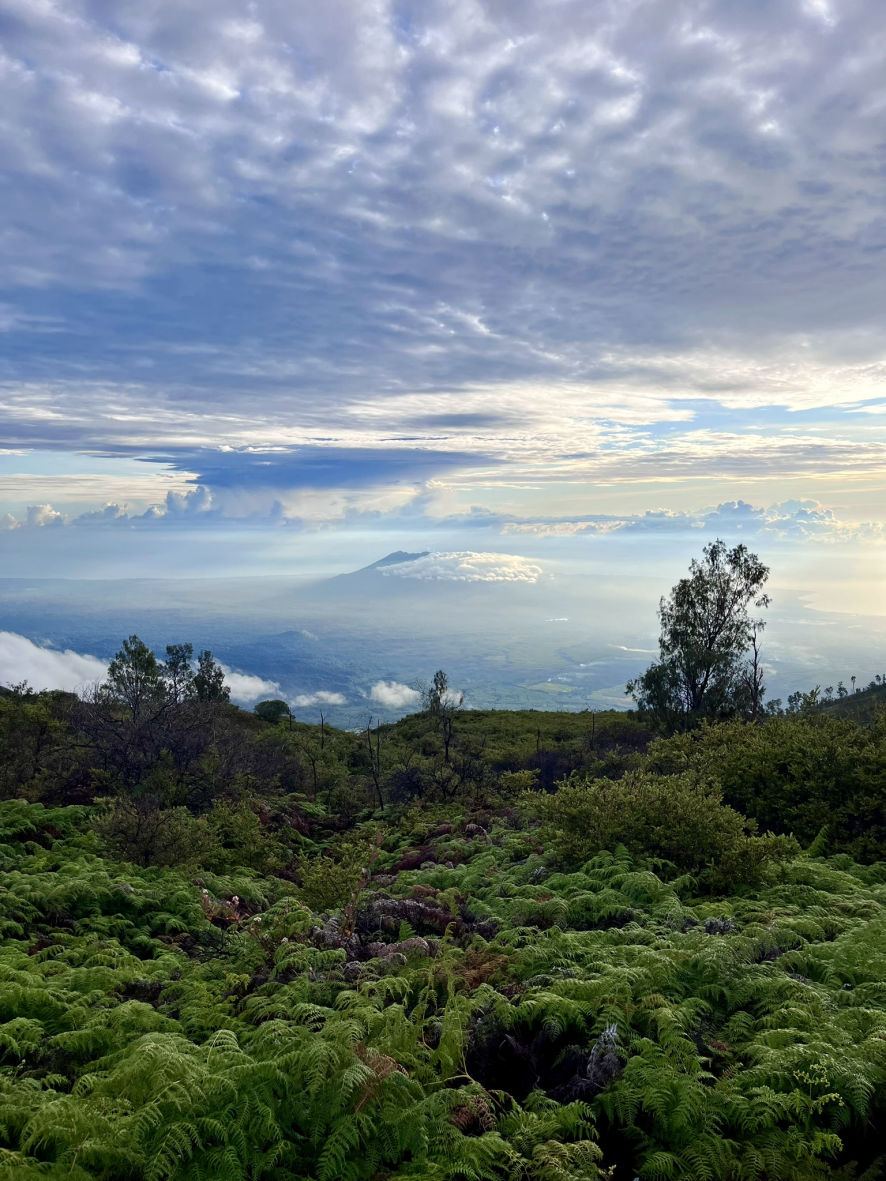 La beauté des paysages autour du volcan Ijen