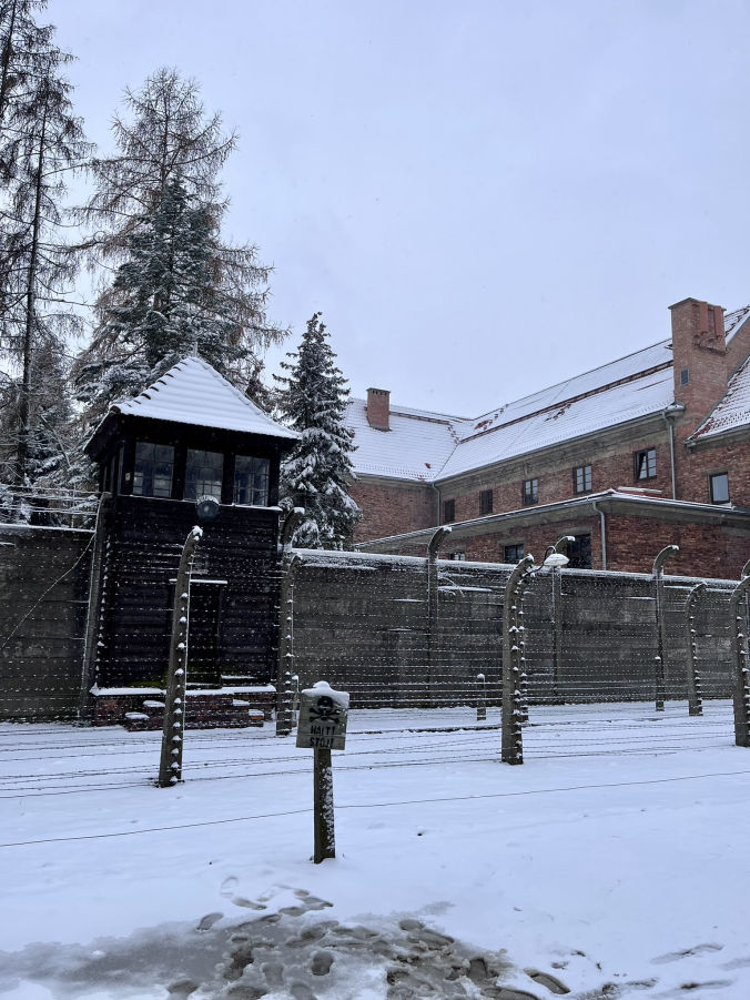 Les miradors et les barbelés dans le camp d'Auschwitz