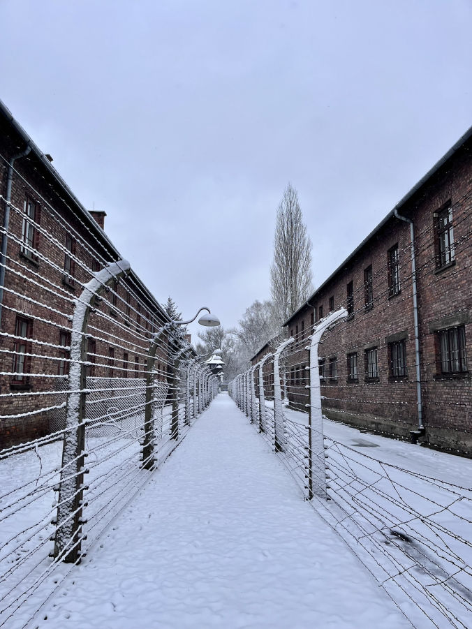 Les passages entourés de barbelés à Auschwitz