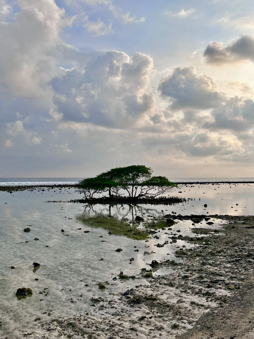Les plages paradisiaques de Gili Trawangan