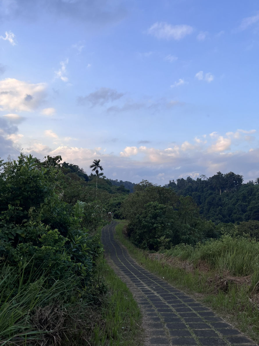 Campuhan Ridge Walk à Ubud