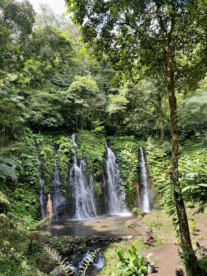 Les cascades de Banyu Wana Amertha