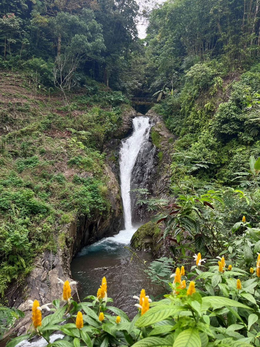 La cascade Git git à Bali
