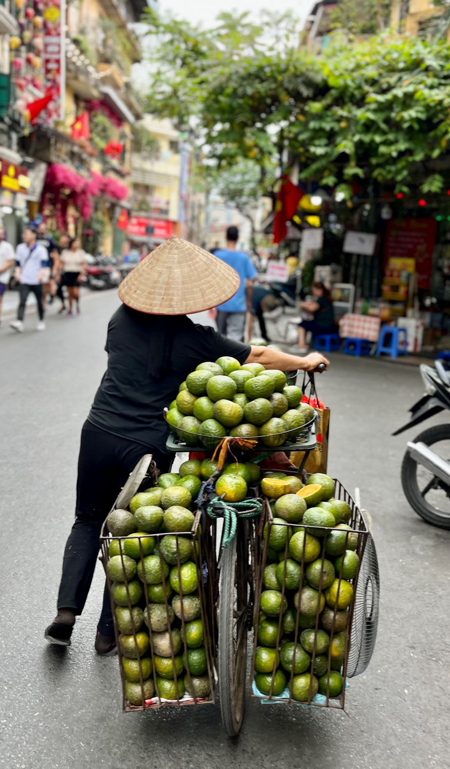 Les marchandes de fruits à Hanoi
