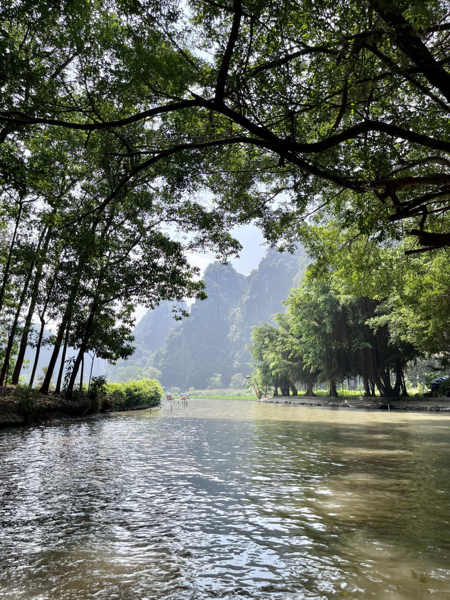 Balade en barque à Tam Coc