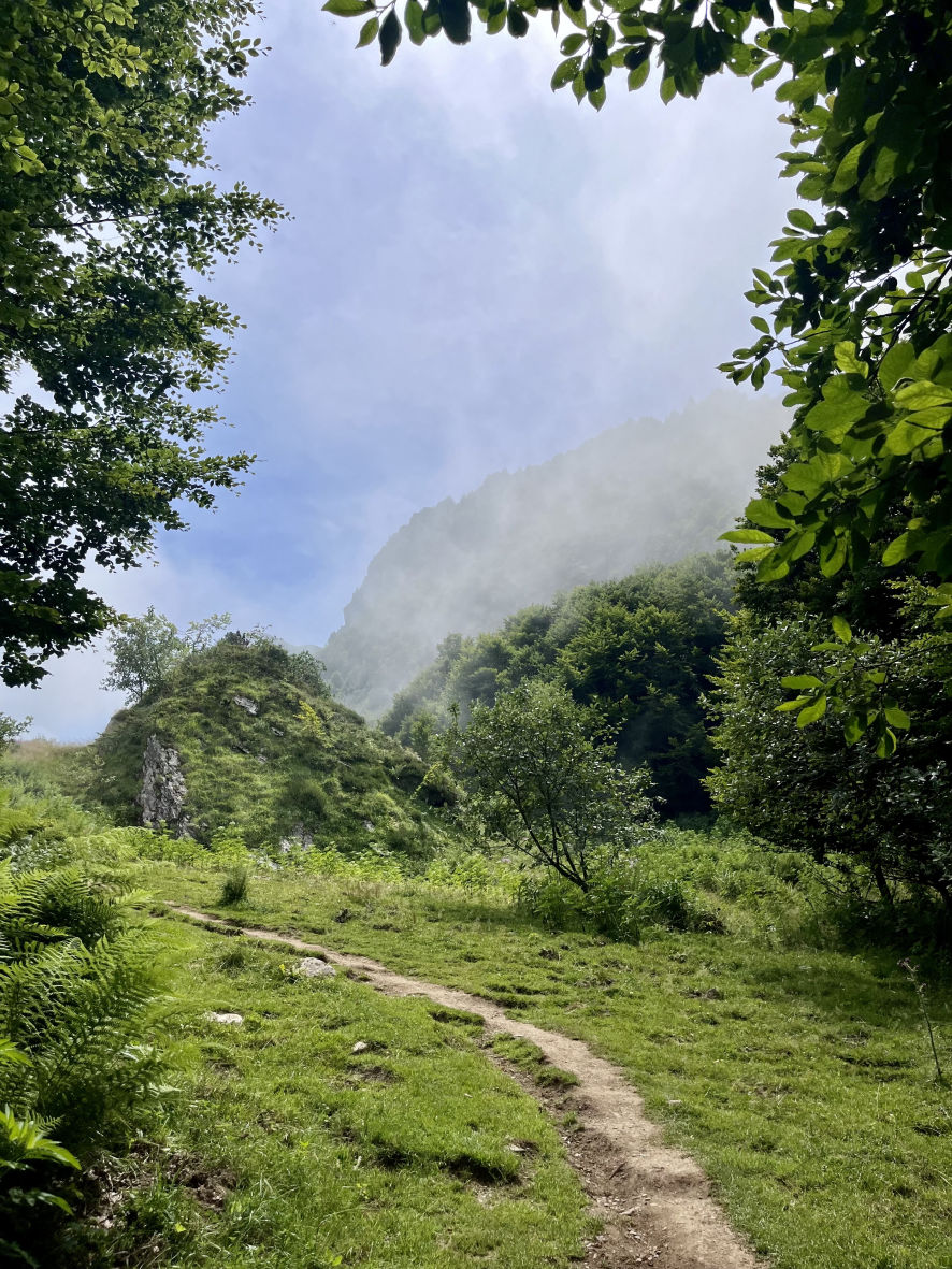 La fin de la portion à travers la forêt