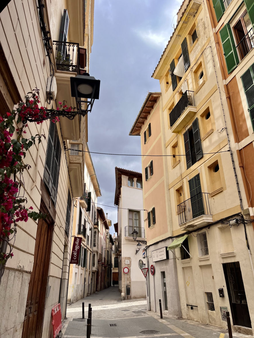 Les rues colorées de la vieille ville de Palma de Majorque