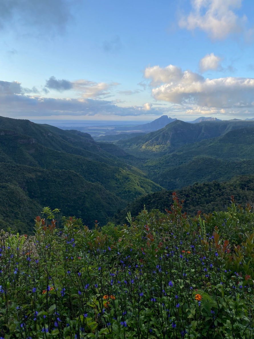 Le Parc national des gorges de la Rivière Noire