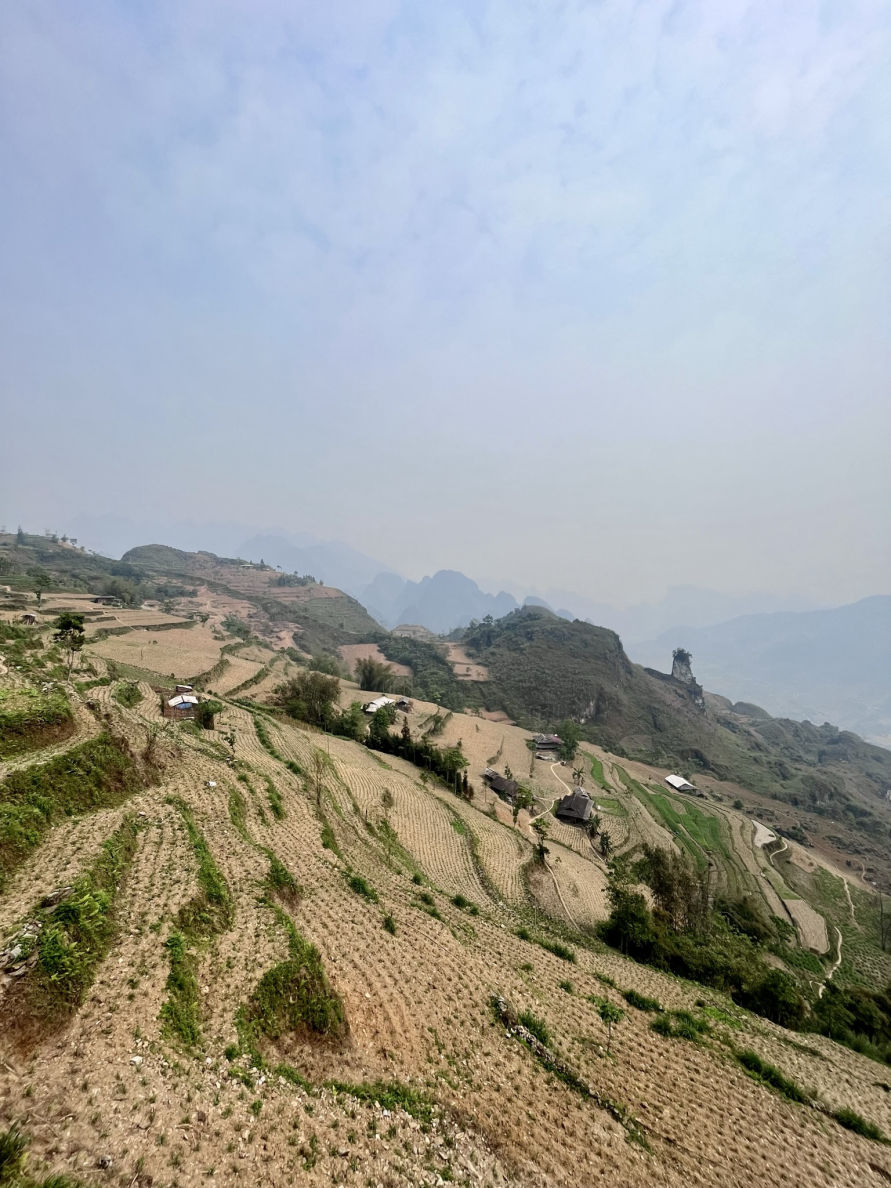 Les rizières en terrasses à Ha Giang
