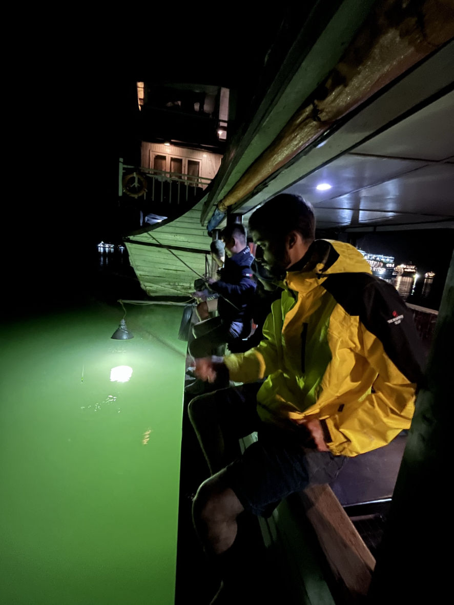 La pêche de calmar à Halong