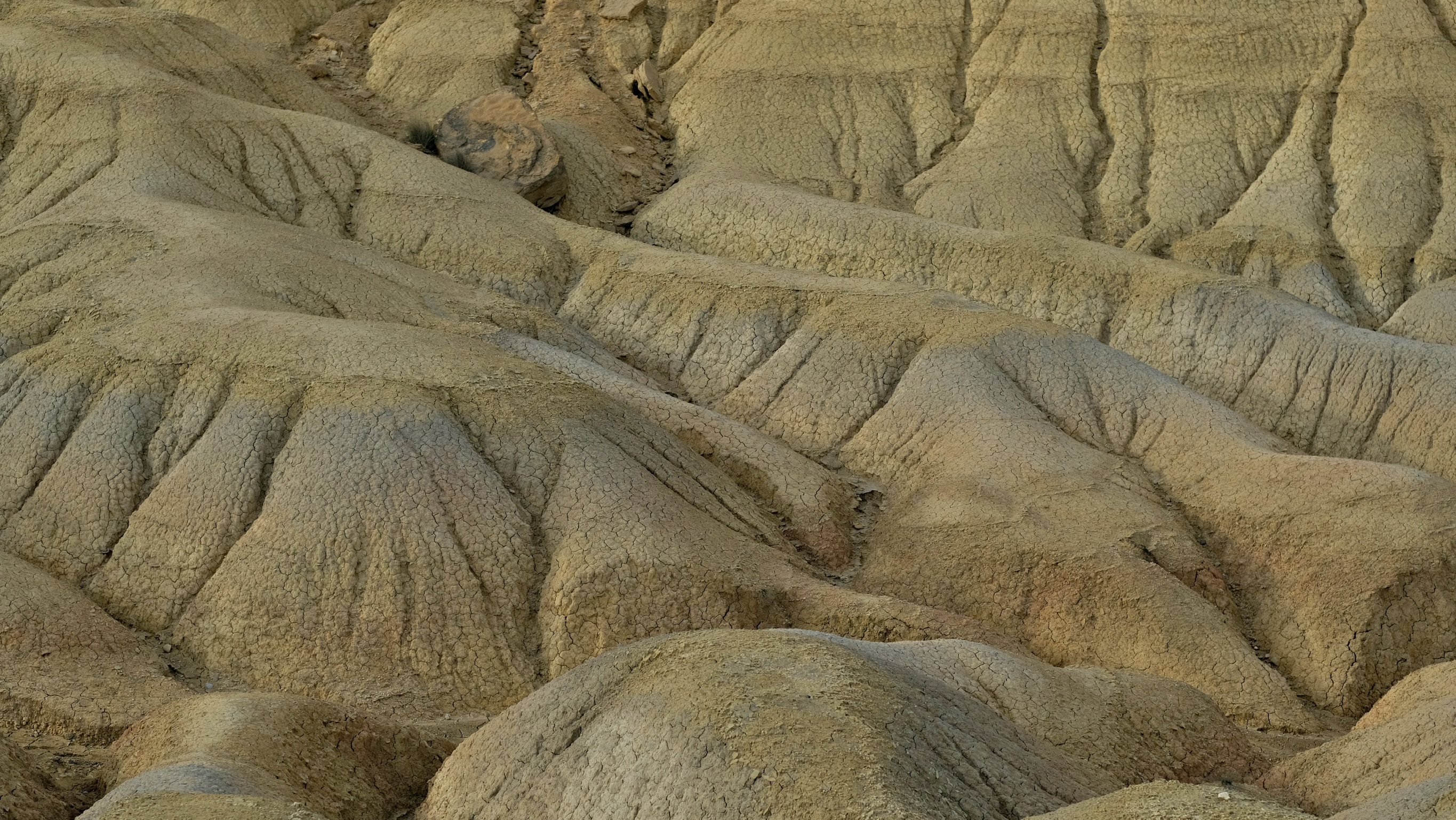Les paysages désertiques
