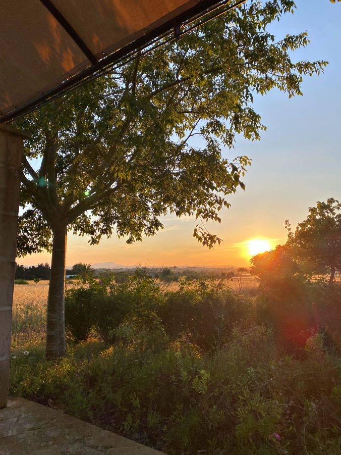 Coucher de soleil sur la finca