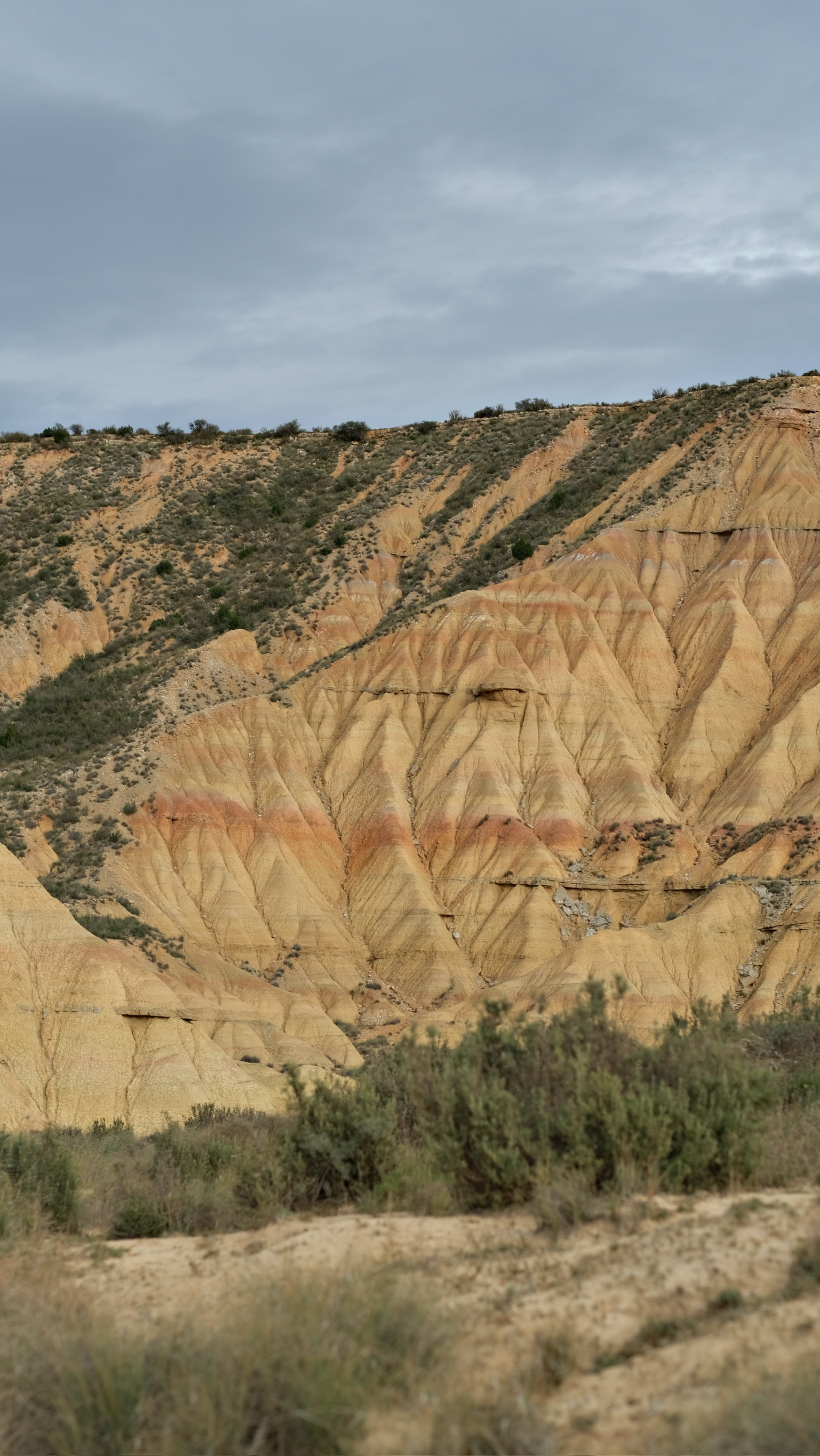 Les paysages des Bardenas